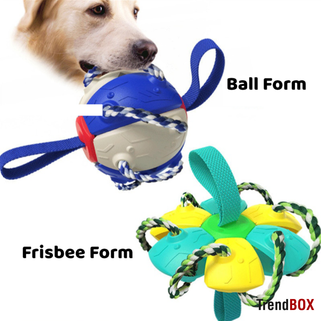 -30% SportyPup Hundespielzeug TrendBOX   