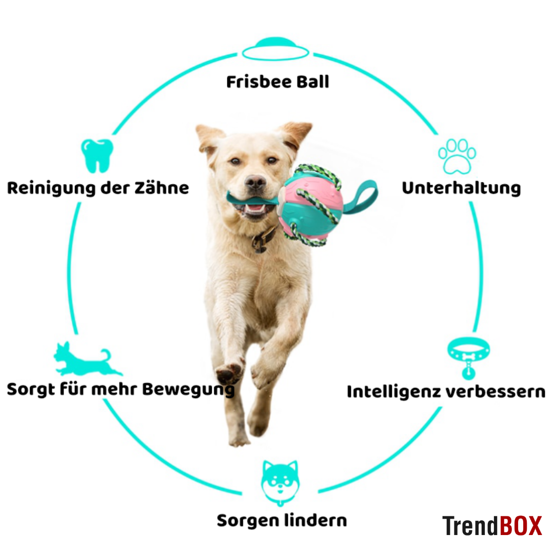 -30% SportyPup Hundespielzeug TrendBOX   