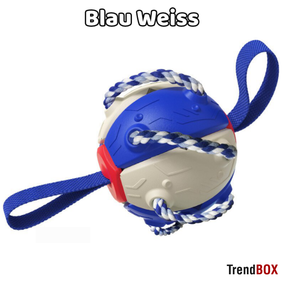 -30% SportyPup Hundespielzeug TrendBOX Blau Weiss  