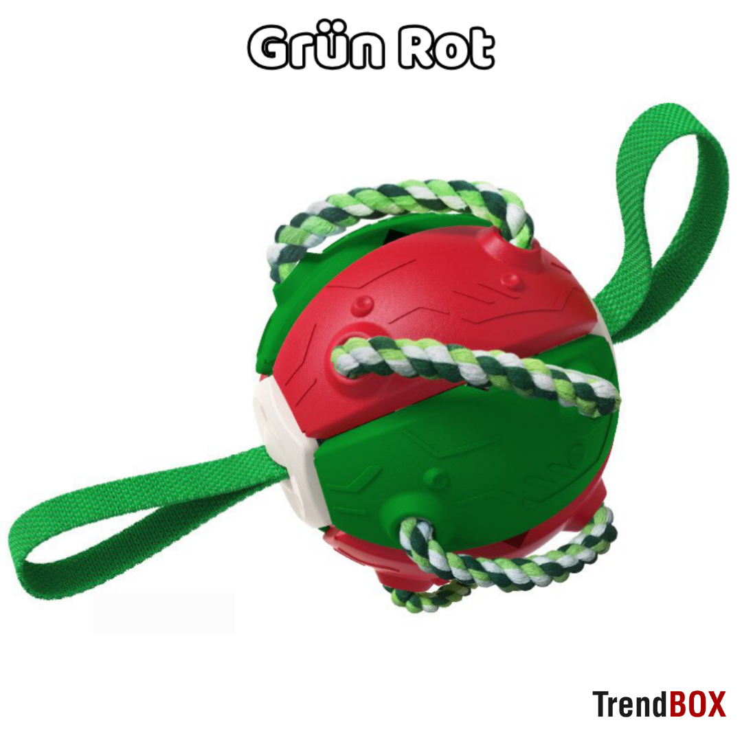 -30% SportyPup Hundespielzeug TrendBOX Rot Grün  