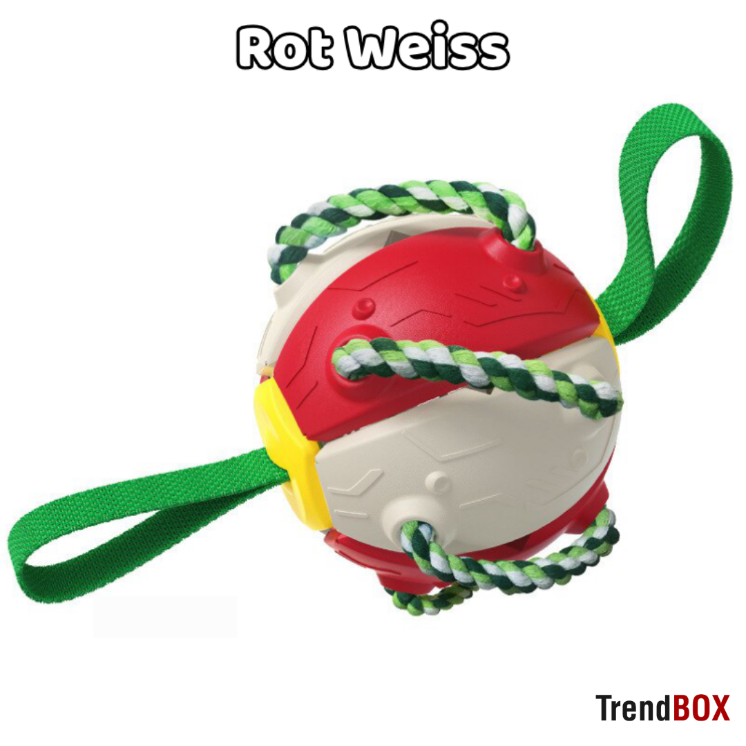 -30% SportyPup Hundespielzeug TrendBOX Rot Weiss  