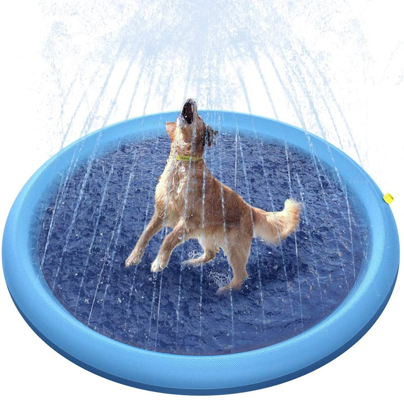 -25% SplashPad Hundespielzeug TrendBOX   