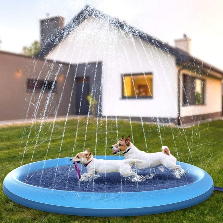 -25% SplashPad Hundespielzeug TrendBOX   