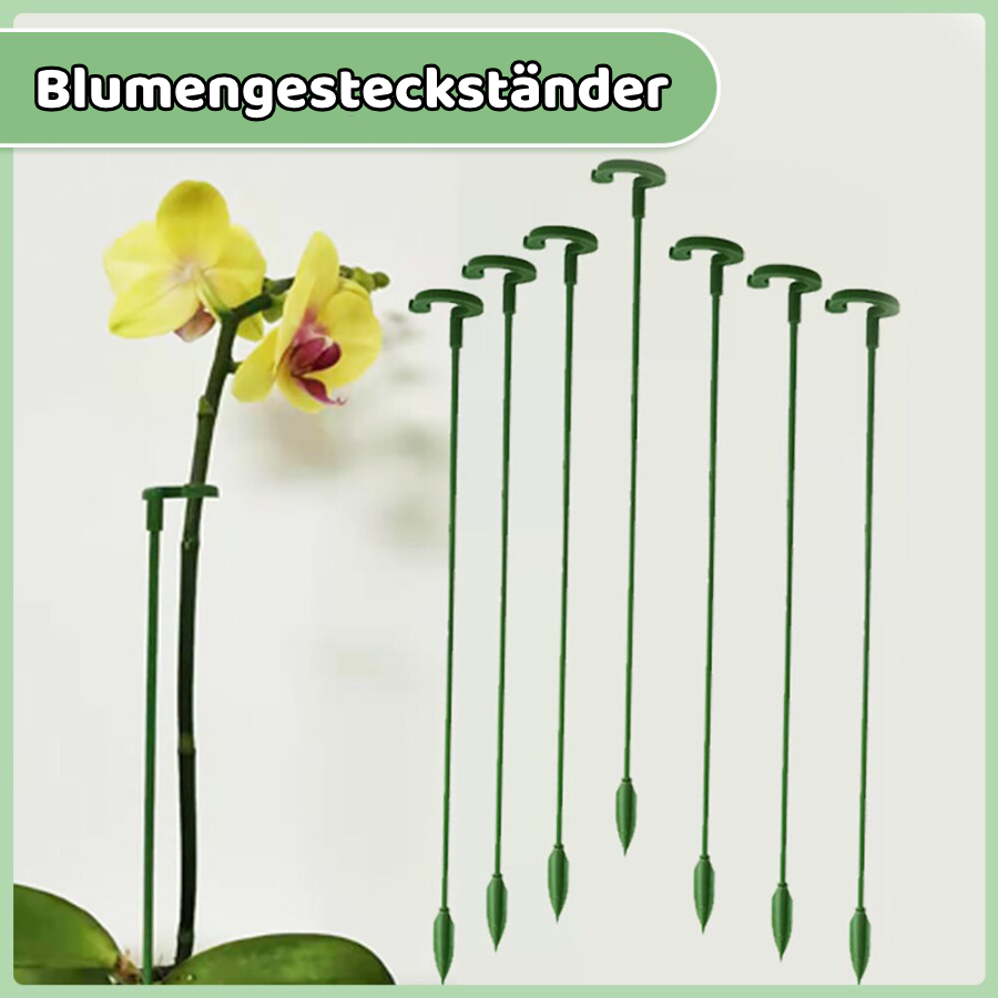 -30% Pflanzenstütze PlantBuddy Garten & Balkon TrendBOX   