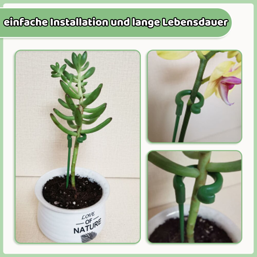 -30% Pflanzenstütze PlantBuddy Garten & Balkon TrendBOX   