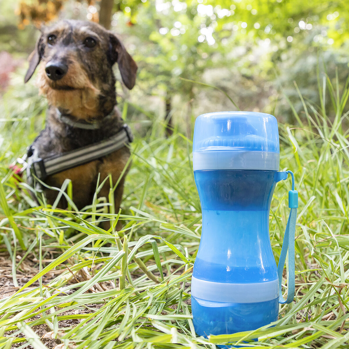 Pettap 2-in-1 Haustierflasche Haustier-Produkte, Kleine Tiere InnovaGoods   