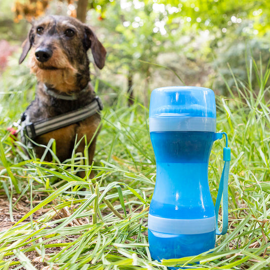 Pettap 2-in-1 Haustierflasche