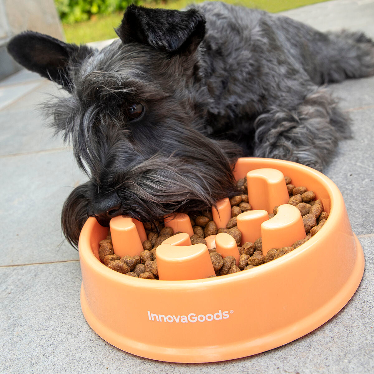 Slow LebensmittelNapf für Haustiere Haustier-Produkte, Hunde InnovaGoods   