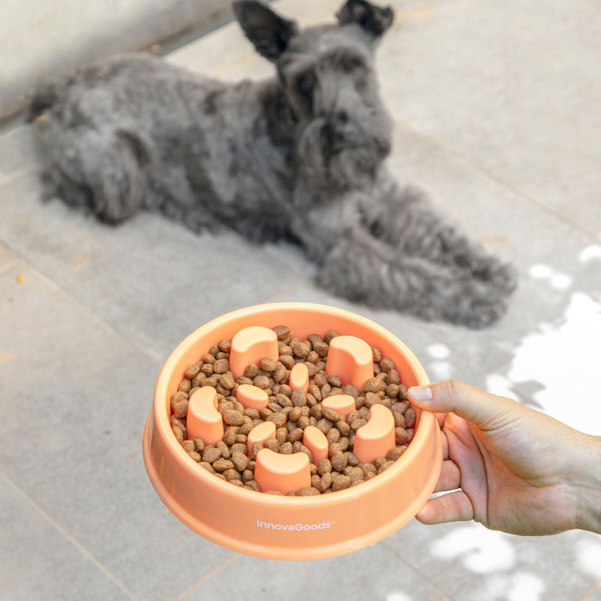 Slow LebensmittelNapf für Haustiere Haustier-Produkte, Hunde InnovaGoods   