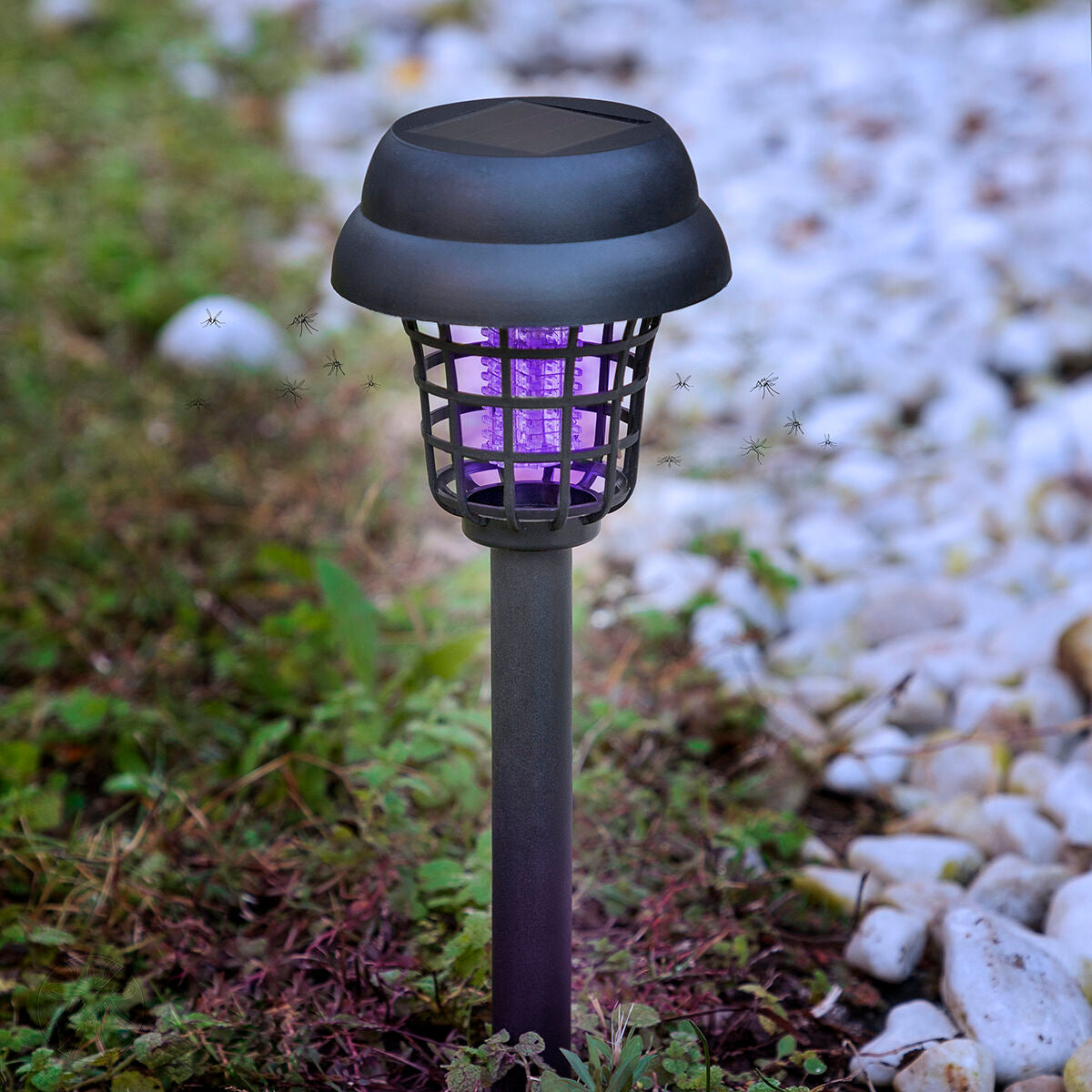 Solarbetriebene Lampe für den Garten gegen Mücken Garlam InnovaGoods