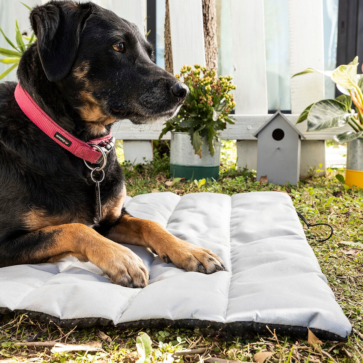 Wasserdichtes tragbares Bett für Haustiere Huismat InnovaGoods