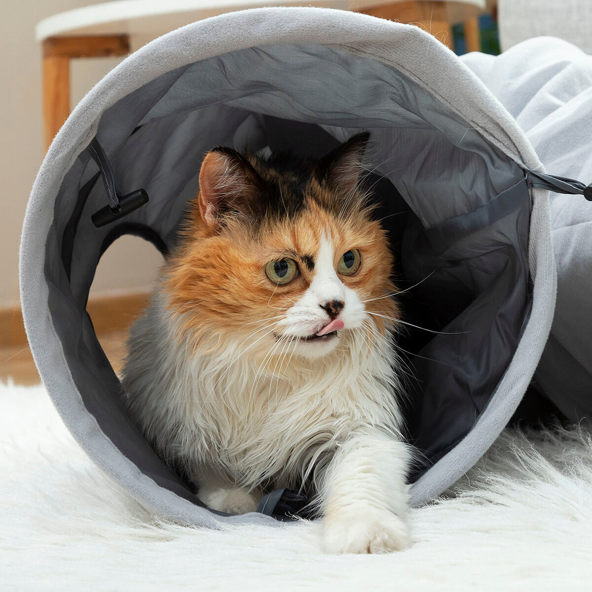 Faltbarer Tunnel für Haustiere