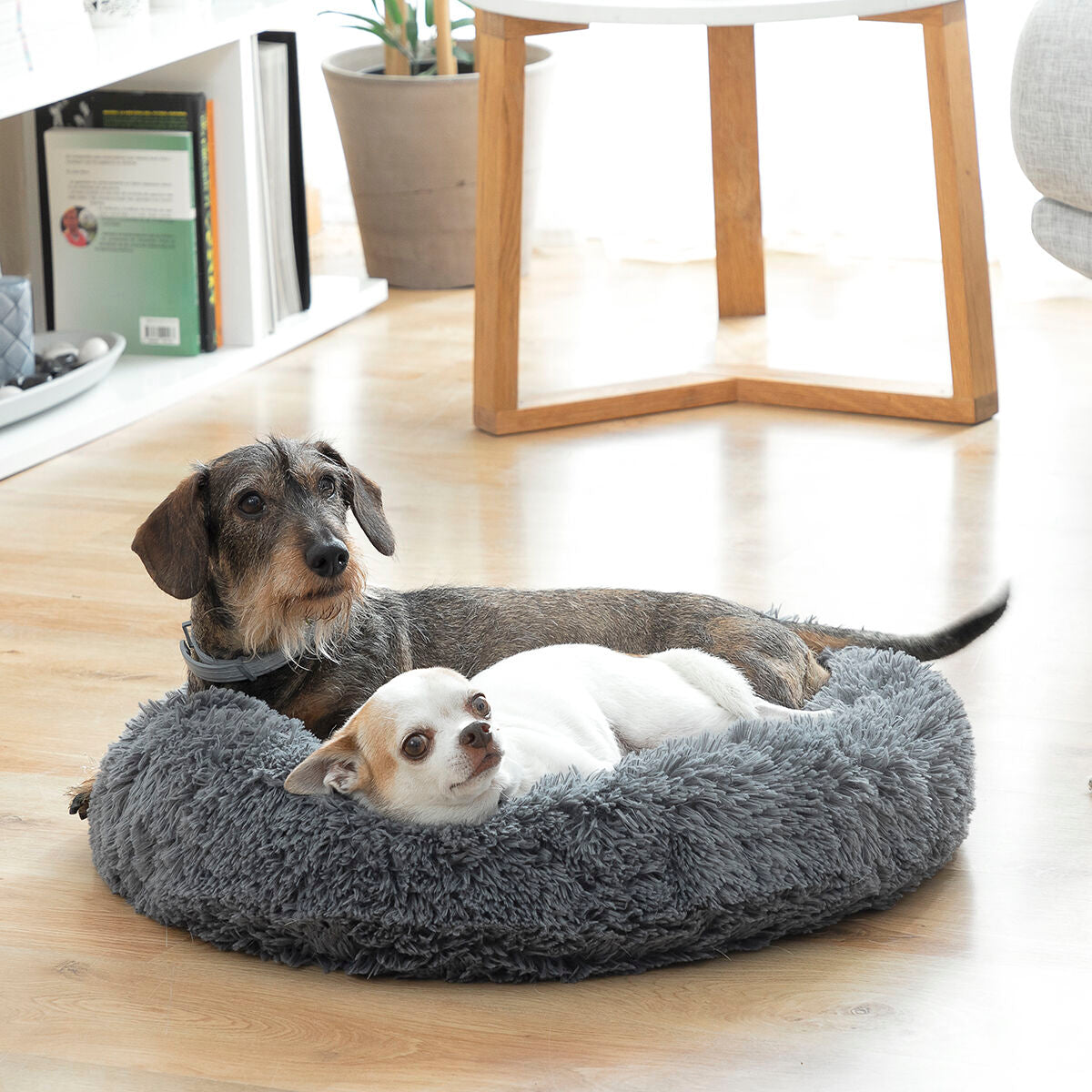 Anti-Stress-Bett für Haustiere Haustier-Produkte, Hunde InnovaGoods   