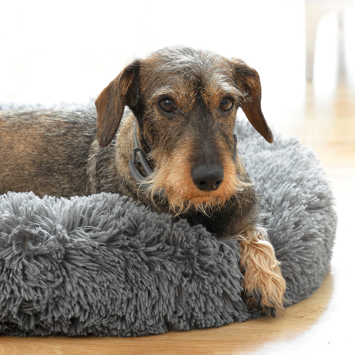Anti-Stress-Bett für Haustiere Haustier-Produkte, Hunde InnovaGoods   